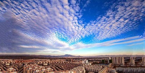 重磅 云南 家居龍頭 得勝進軍嵩明空港做房地產