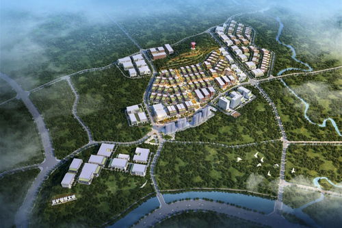 五礦集團為南安高質量發展賦能增效 央廣網