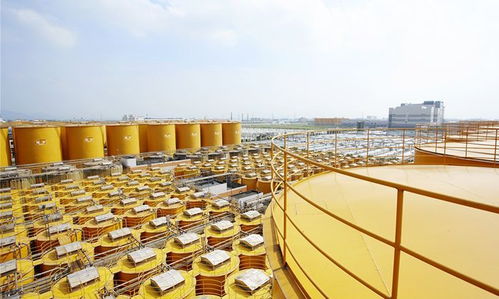 中國食品制造大王 調味品界茅臺,億萬富豪工廠 絕不 打醬油