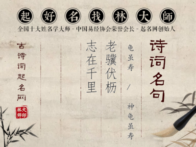 老驥伏櫪，志在千里 堅(jiān)韌精神的時(shí)代回響