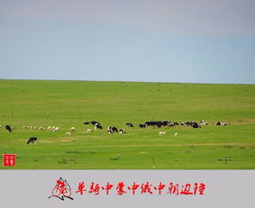 老驥伏櫪，志在千里 單騎穿越中蒙、中俄、中朝邊陲游記與攻略